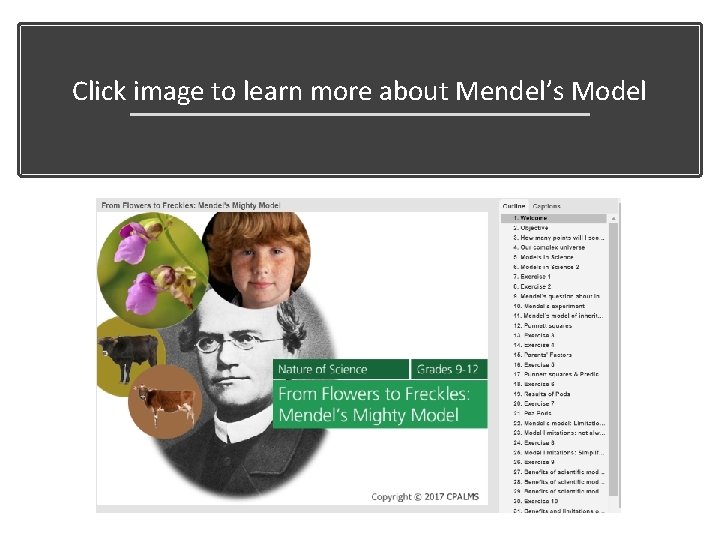 Click image to learn more about Mendel’s Model 