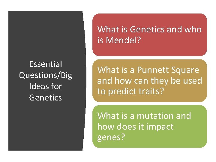 What is Genetics and who is Mendel? Essential Questions/Big Ideas for Genetics What is