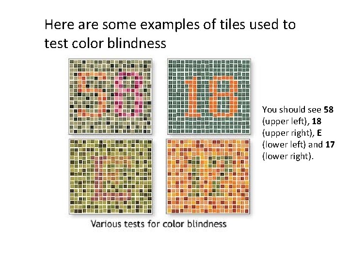Here are some examples of tiles used to test color blindness You should see