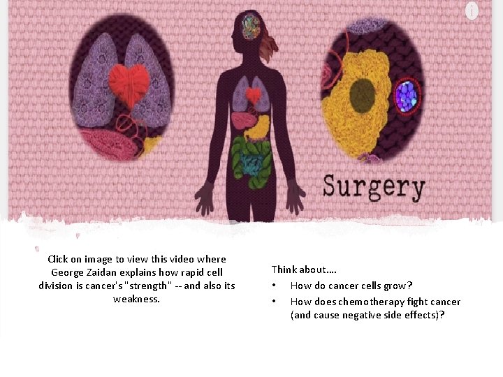 Click on image to view this video where George Zaidan explains how rapid cell