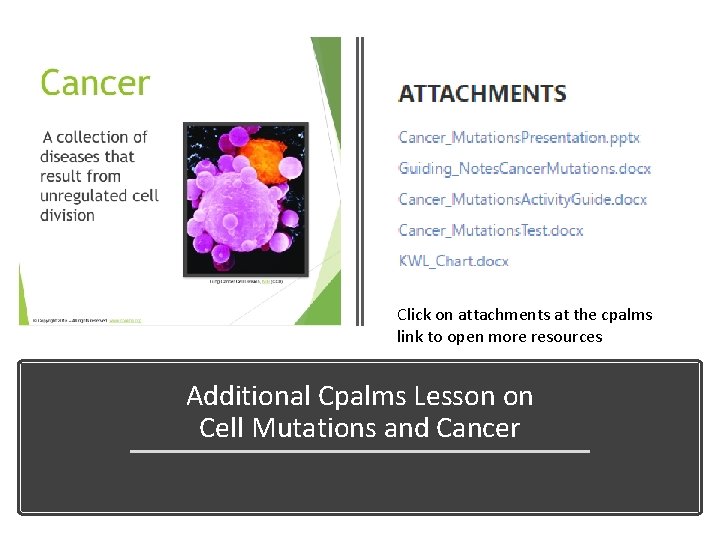 Click on attachments at the cpalms link to open more resources Additional Cpalms Lesson