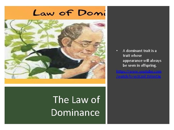 A dominant trait is a trait whose appearance will always be seen in offspring.