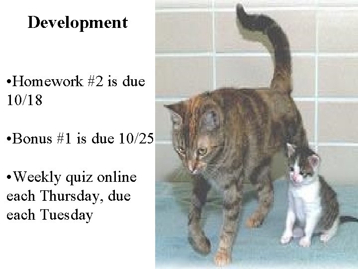 Development • Homework #2 is due 10/18 • Bonus #1 is due 10/25 •