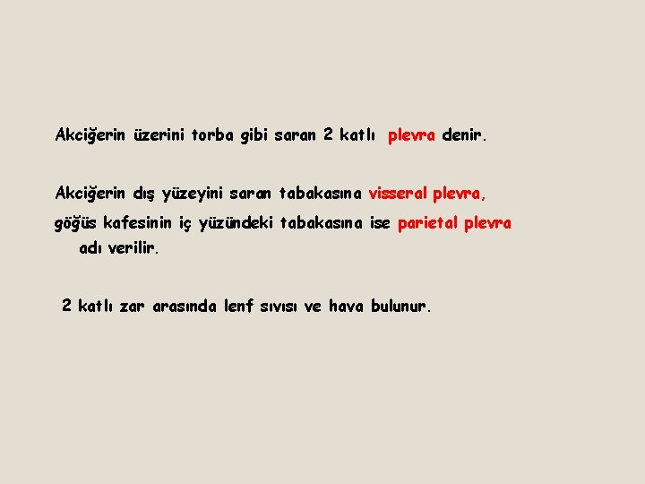 Akciğerin üzerini torba gibi saran 2 katlı plevra denir. Akciğerin dış yüzeyini saran tabakasına