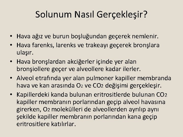 Solunum Nasıl Gerçekleşir? • Hava ağız ve burun boşluğundan geçerek nemlenir. • Hava farenks,