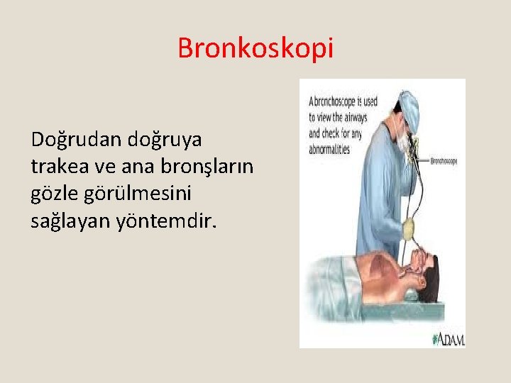 Bronkoskopi Doğrudan doğruya trakea ve ana bronşların gözle görülmesini sağlayan yöntemdir. 