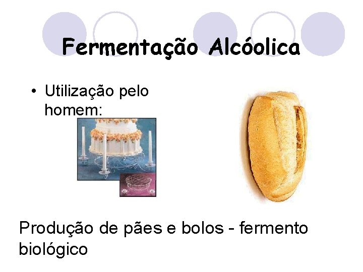 Fermentação Alcóolica • Utilização pelo homem: Produção de pães e bolos - fermento biológico