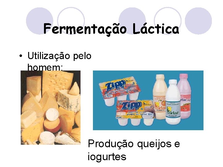 Fermentação Láctica • Utilização pelo homem: Produção queijos e iogurtes 