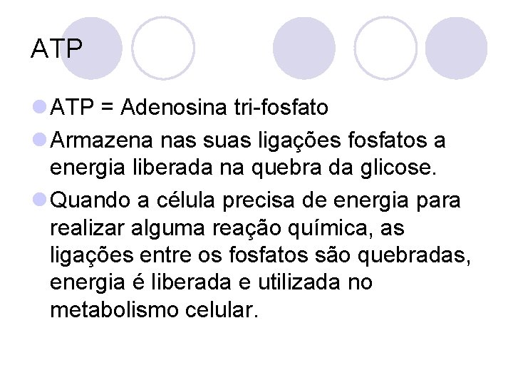 ATP l ATP = Adenosina tri-fosfato l Armazena nas suas ligações fosfatos a energia