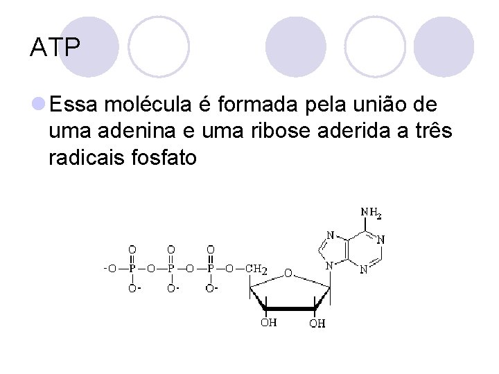 ATP l Essa molécula é formada pela união de uma adenina e uma ribose