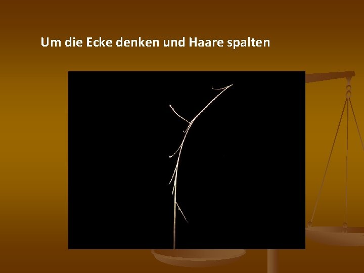 Um die Ecke denken und Haare spalten 