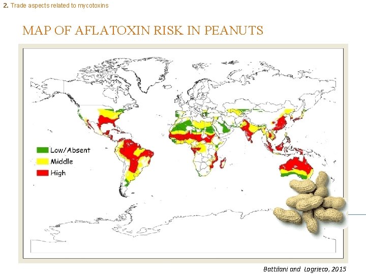 2. Trade aspects related to mycotoxins MAP OF AFLATOXIN RISK IN PEANUTS Battilani and