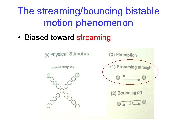 The streaming/bouncing bistable motion phenomenon • Biased toward streaming 