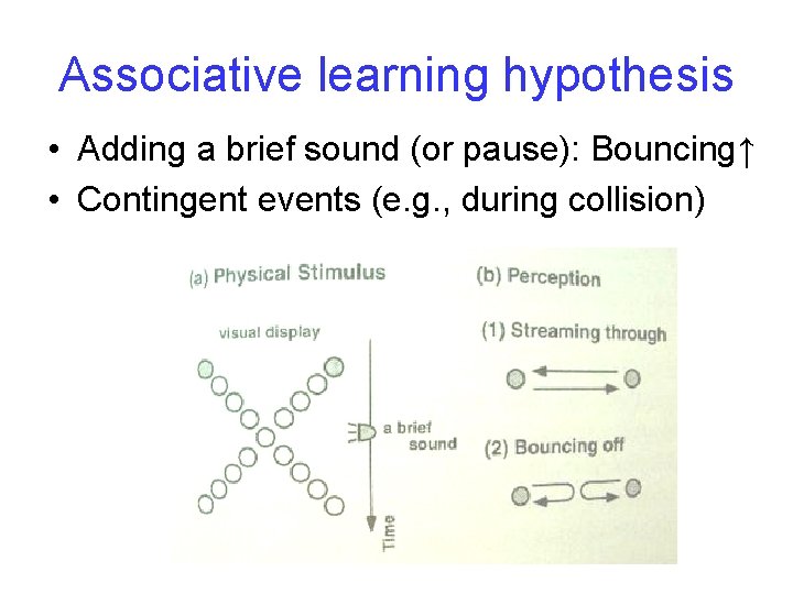 Associative learning hypothesis • Adding a brief sound (or pause): Bouncing↑ • Contingent events