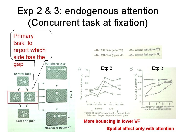 Exp 2 & 3: endogenous attention (Concurrent task at fixation) Primary task: to report