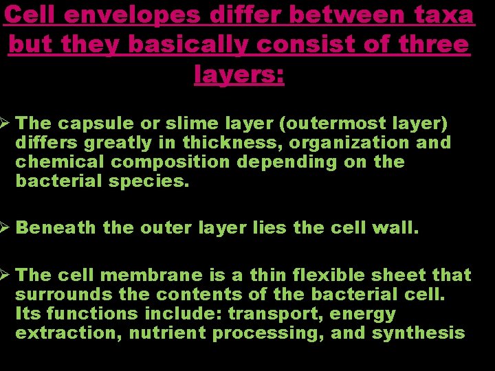 Cell envelopes differ between taxa but they basically consist of three layers: Ø The