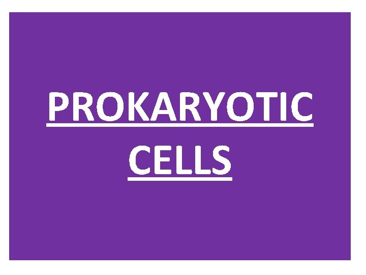 PROKARYOTIC CELLS 