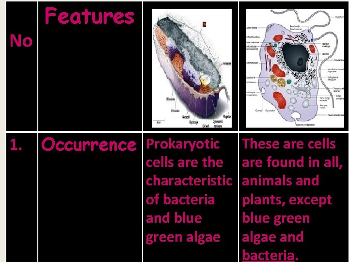  Features No 1. Occurrence Prokaryotic These are cells are the are found in