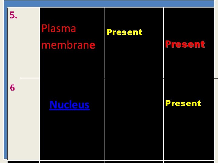 5. Plasma membrane Present 6 Nucleus Present 