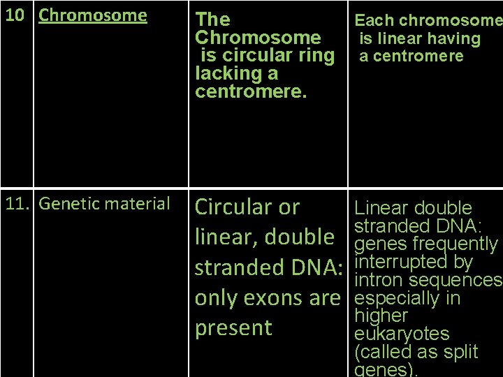 10 Chromosome 11. Genetic material The Chromosome is circular ring lacking a centromere. Each