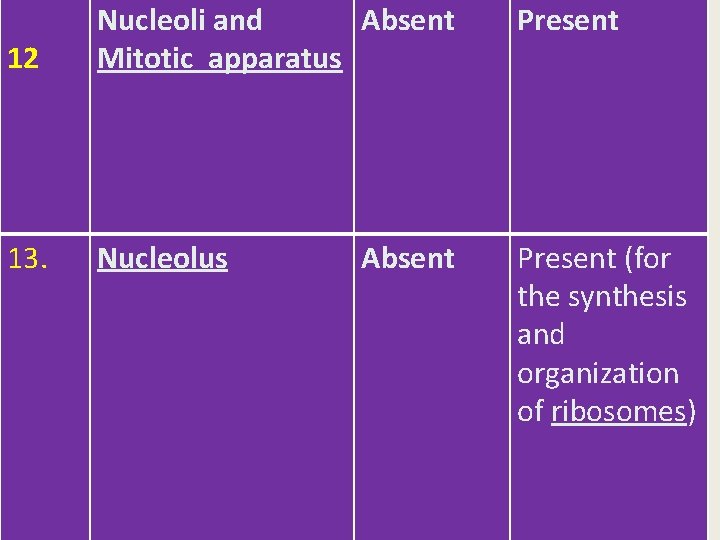 12 Nucleoli and Absent Mitotic apparatus Present 13. Nucleolus Present (for the synthesis and