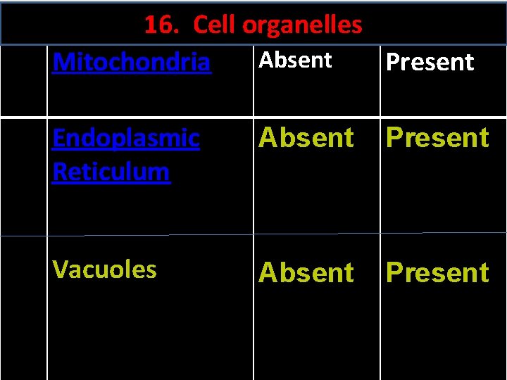 16. Cell organelles Absent Mitochondria Present Endoplasmic Reticulum Absent Present Vacuoles Absent Present 