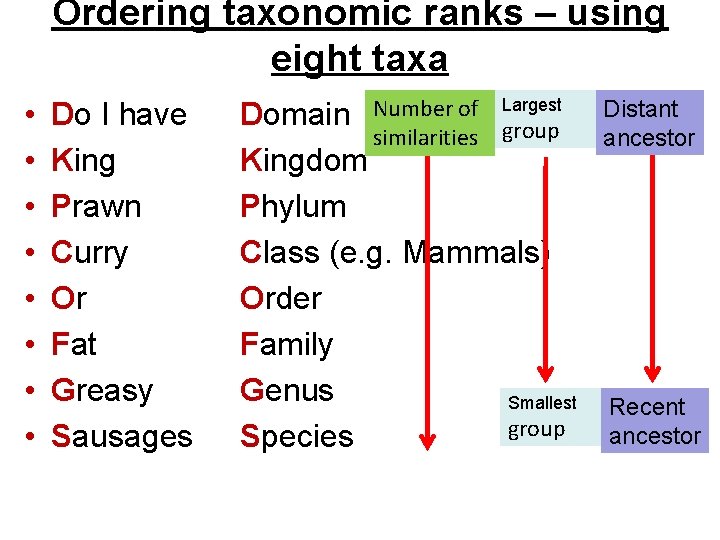 Ordering taxonomic ranks – using eight taxa • • Do I have King Prawn