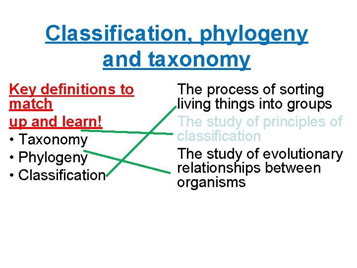 Classification, phylogeny and taxonomy Key definitions to match up and learn! • Taxonomy •