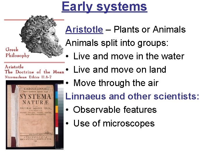 Early systems Aristotle – Plants or Animals split into groups: • Live and move