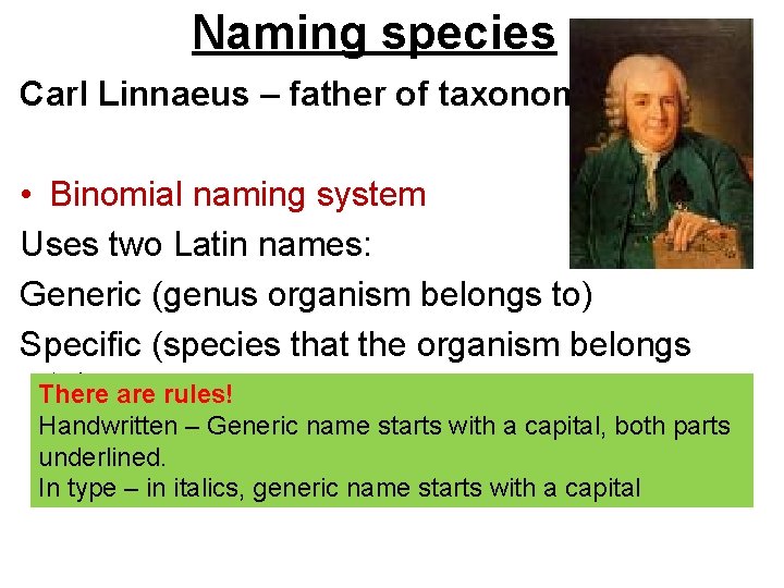 Naming species Carl Linnaeus – father of taxonomy • Binomial naming system Uses two