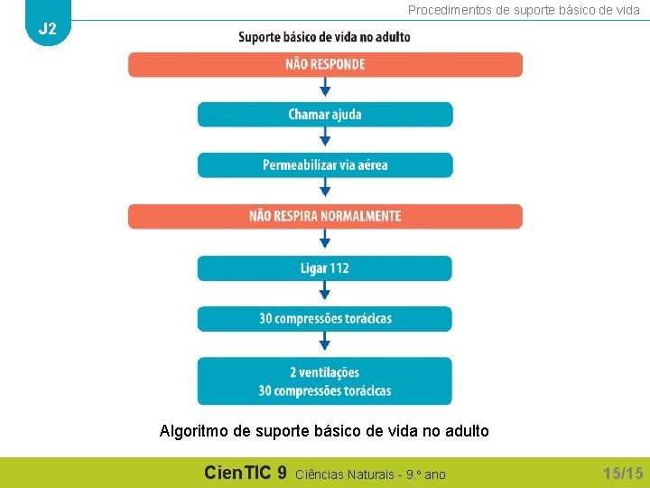 Procedimentos de suporte básico de vida J 2 Algoritmo de suporte básico de vida