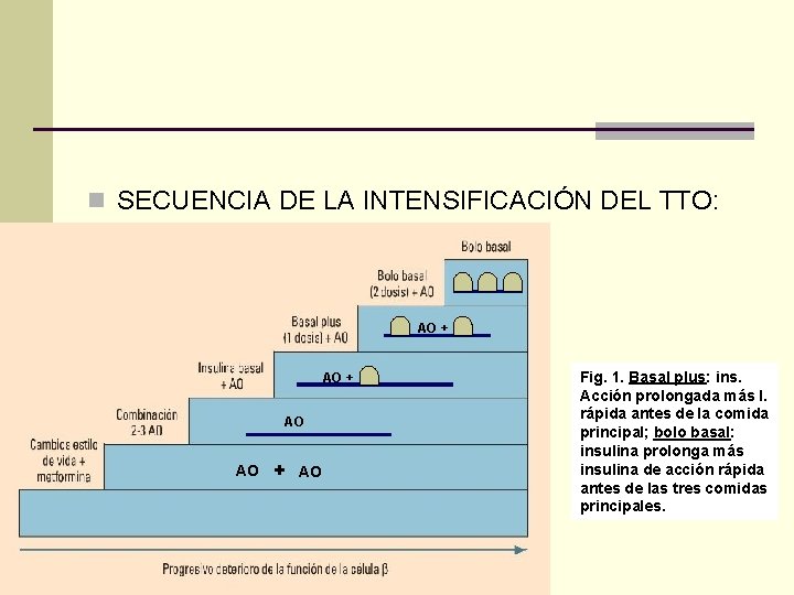 n SECUENCIA DE LA INTENSIFICACIÓN DEL TTO: AO + AO AO + AO Fig.