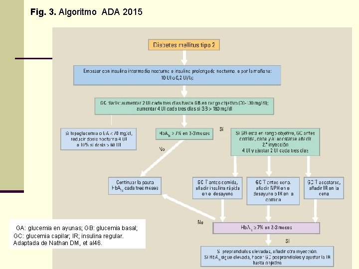 Fig. 3. Algoritmo ADA 2015 GA: glucemia en ayunas; GB: glucemia basal; GC: glucemia