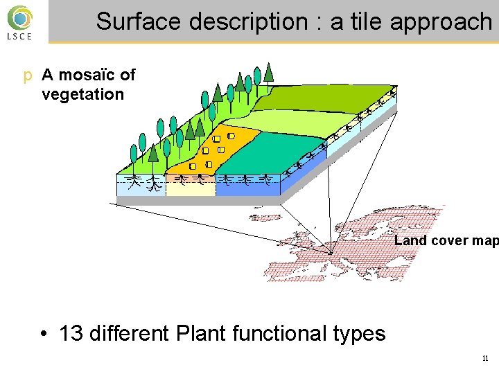 Surface description : a tile approach p A mosaïc of vegetation Land cover map