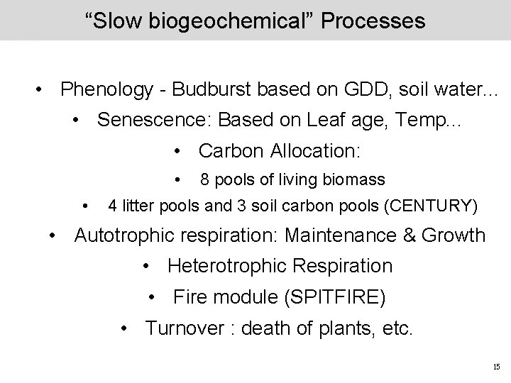 “Slow biogeochemical” Processes • Phenology - Budburst based on GDD, soil water. . .