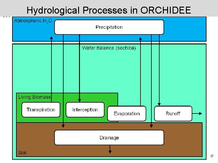Hydrological Processes in ORCHIDEE 17 