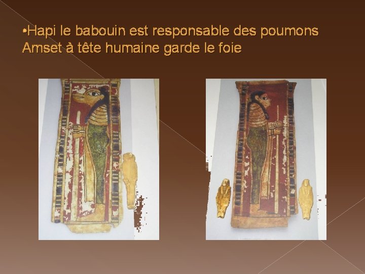  • Hapi le babouin est responsable des poumons Amset à tête humaine garde