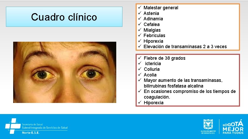 Cuadro clínico Malestar general Astenia Adinamia Cefalea Mialgias Febrículas Hiporexia Elevación de transaminasas 2