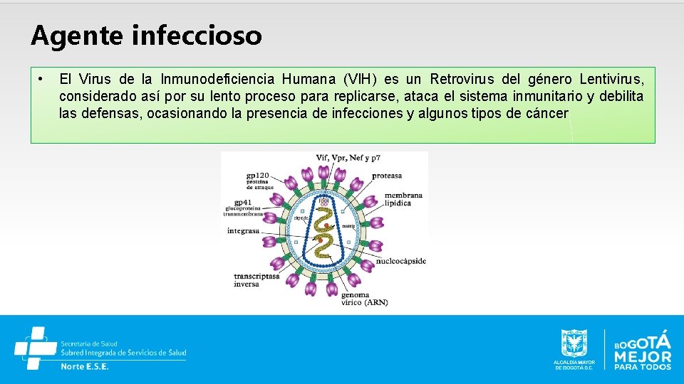 Agente infeccioso • El Virus de la Inmunodeficiencia Humana (VIH) es un Retrovirus del