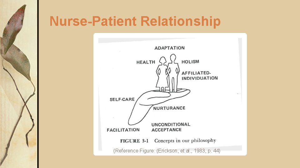 Nurse-Patient Relationship (Reference Figure: (Erickson, et al. , 1983, p. 44) Nurse-Patient Relationship (Reference Figure: (Erickson, et al. , 1983, p. 44)