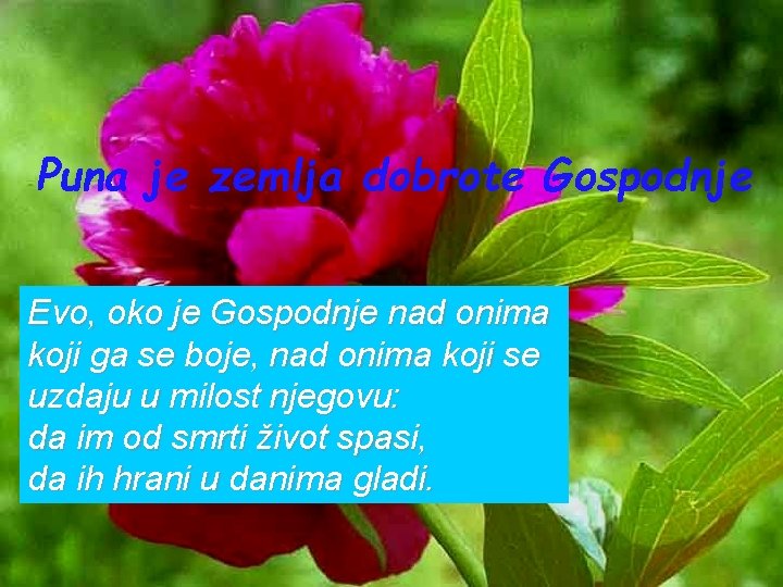 Puna je zemlja dobrote Gospodnje Evo, oko je Gospodnje nad onima koji ga se