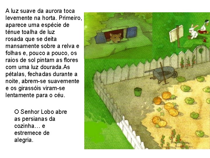 A luz suave da aurora toca levemente na horta. Primeiro, aparece uma espécie de