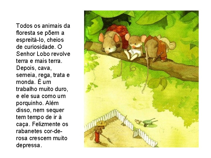 Todos os animais da floresta se põem a espreitá-lo, cheios de curiosidade. O Senhor