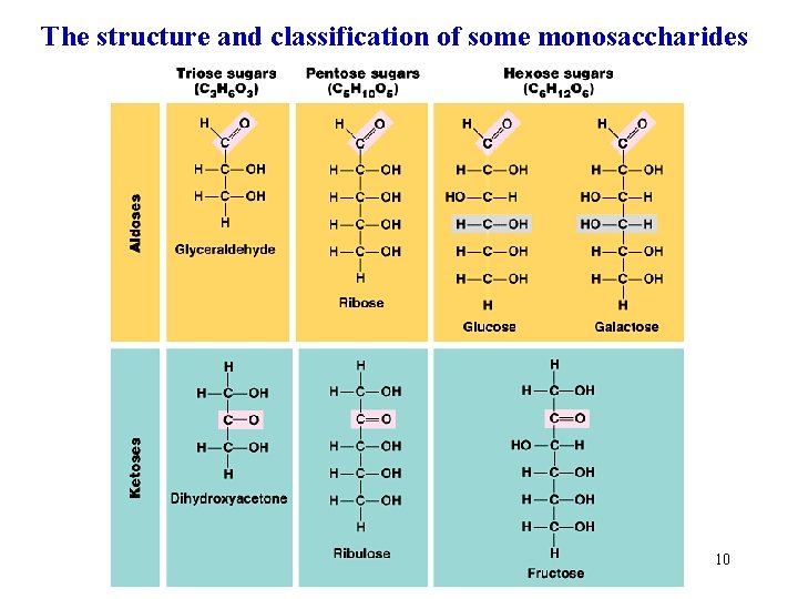 The structure and classification of some monosaccharides 10 