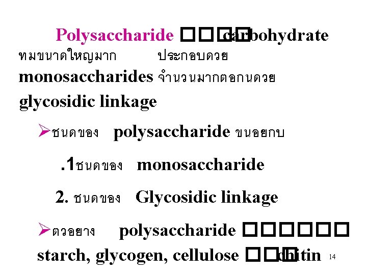 Polysaccharide ���� carbohydrate ทมขนาดใหญมาก ประกอบดวย monosaccharides จำนวนมากตอกนดวย glycosidic linkage Øชนดของ polysaccharide ขนอยกบ. 1ชนดของ monosaccharide