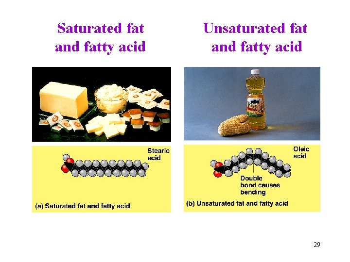 Saturated fat and fatty acid Unsaturated fat and fatty acid 29 