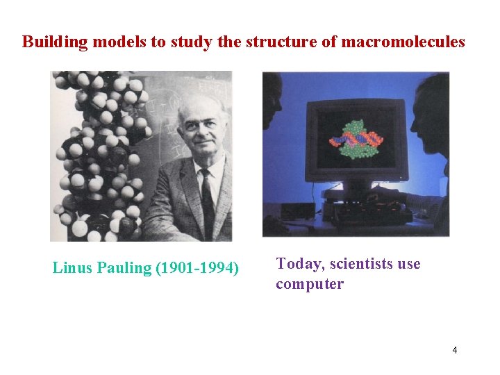 Building models to study the structure of macromolecules Linus Pauling (1901 -1994) Today, scientists