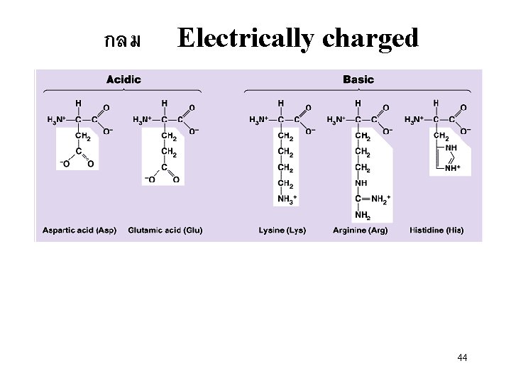 กลม Electrically charged 44 