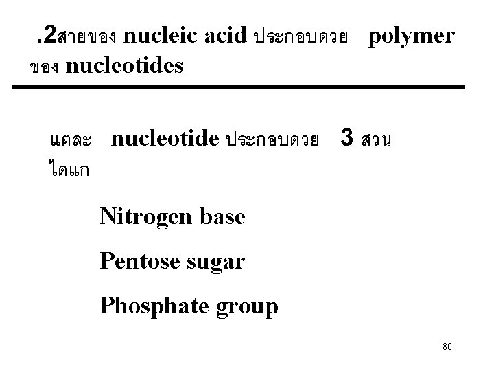 . 2สายของ nucleic acid ประกอบดวย polymer ของ nucleotides แตละ nucleotide ประกอบดวย 3 สวน ไดแก