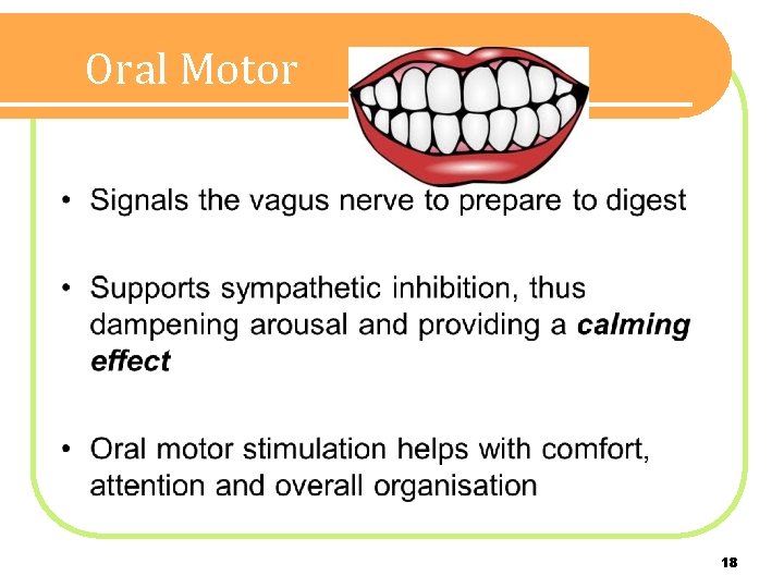 Oral Motor 18 